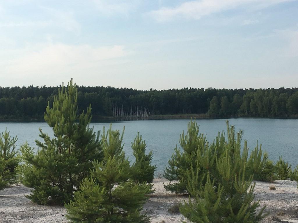 Ferienwohnung Am Schiederdamm Швандорф-ін-Байерн Номер фото